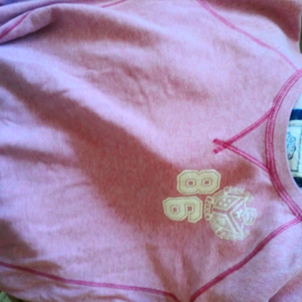 PINK sweat shirt. A1